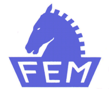 logo fem